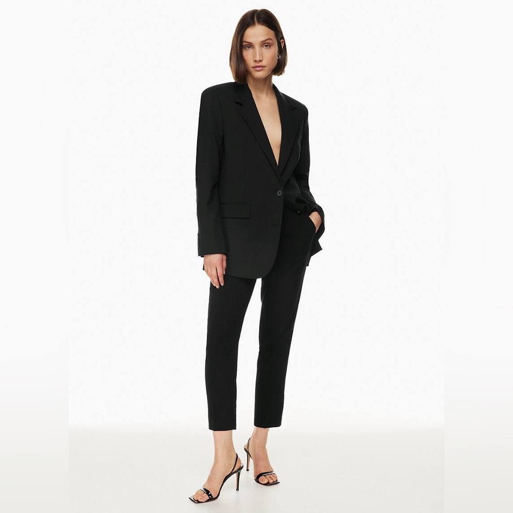 Aritzia Conan Pant